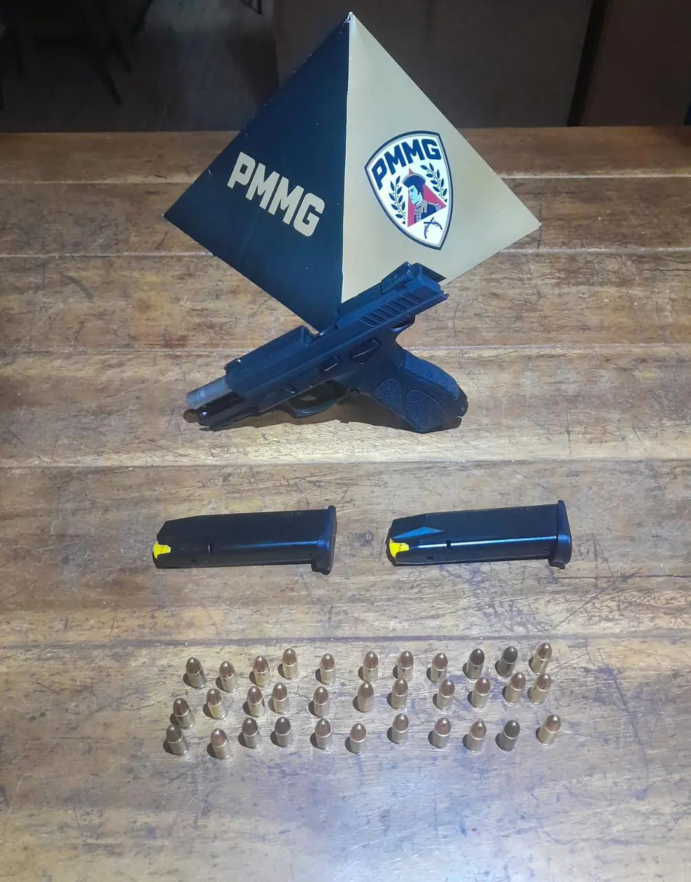 Polícia Militar apreende arma de fogo após invasão em propriedade rural em Martinho Campos
