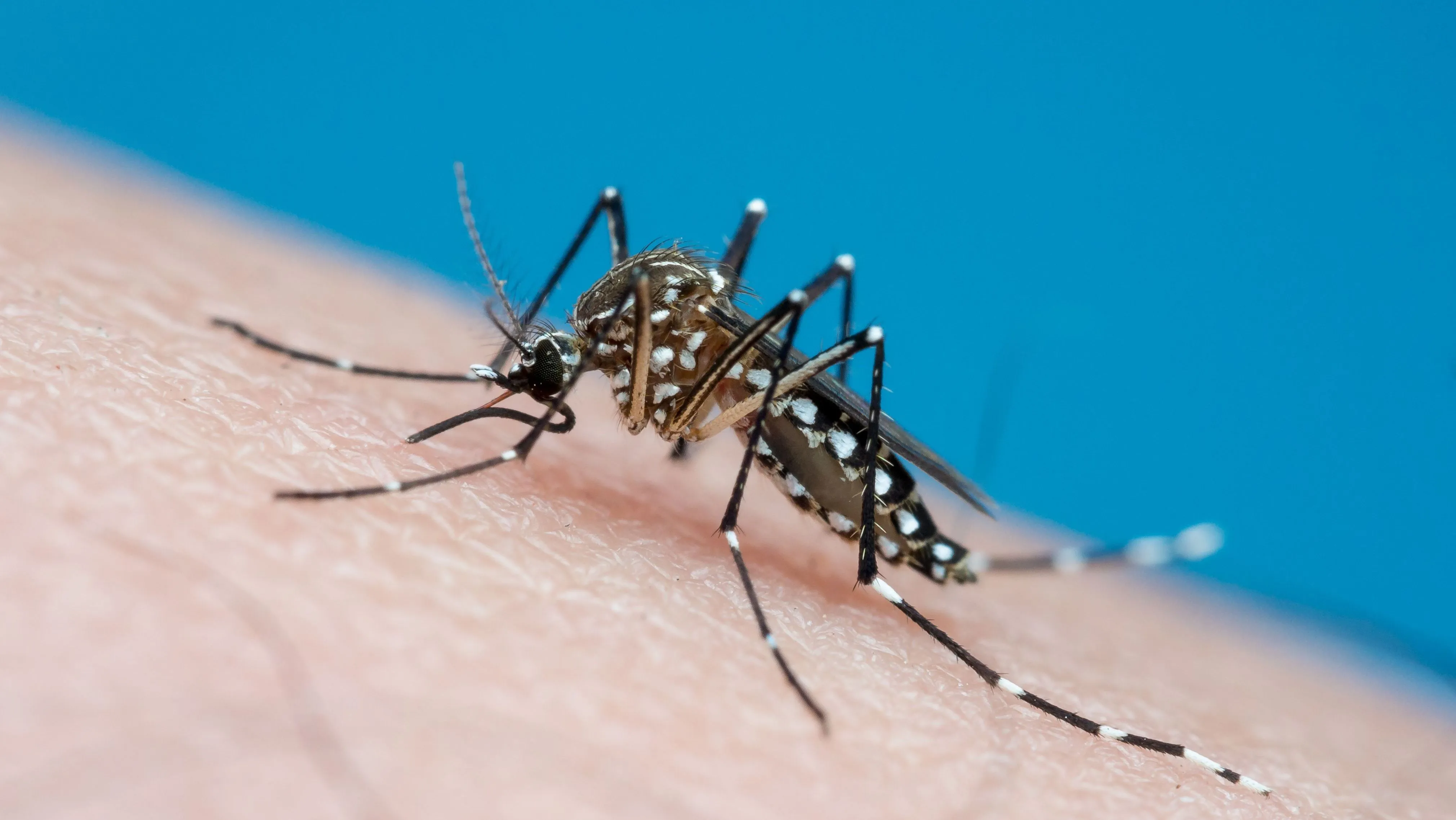 Divinópolis promove ‘Dia D contra a dengue’ neste sábado