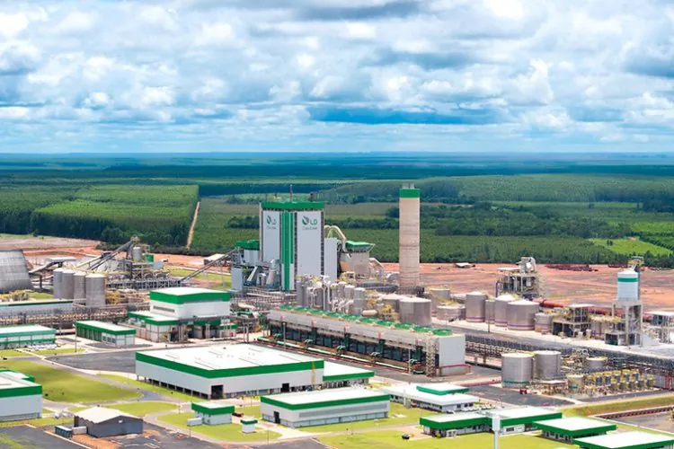 Fábrica impulsiona produção de celulose 