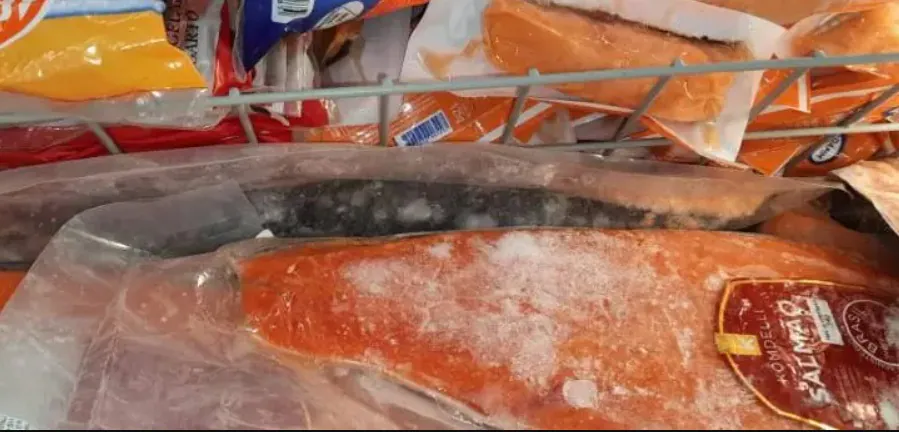 Procura por pescado cresce e setor projeta aumento de 25% nas vendas