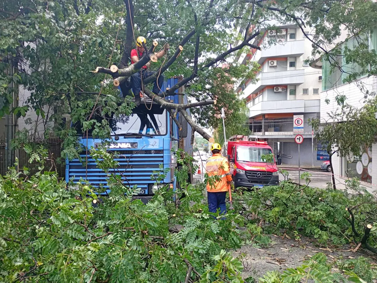 Caminhão colide contra árvore e derruba estrutura sobre veículo no Centro de Divinópolis