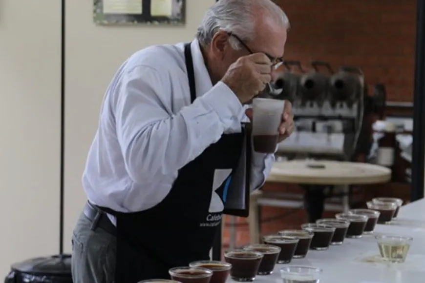 Novo protocolo transforma avaliação dos cafés especiais no Brasil 