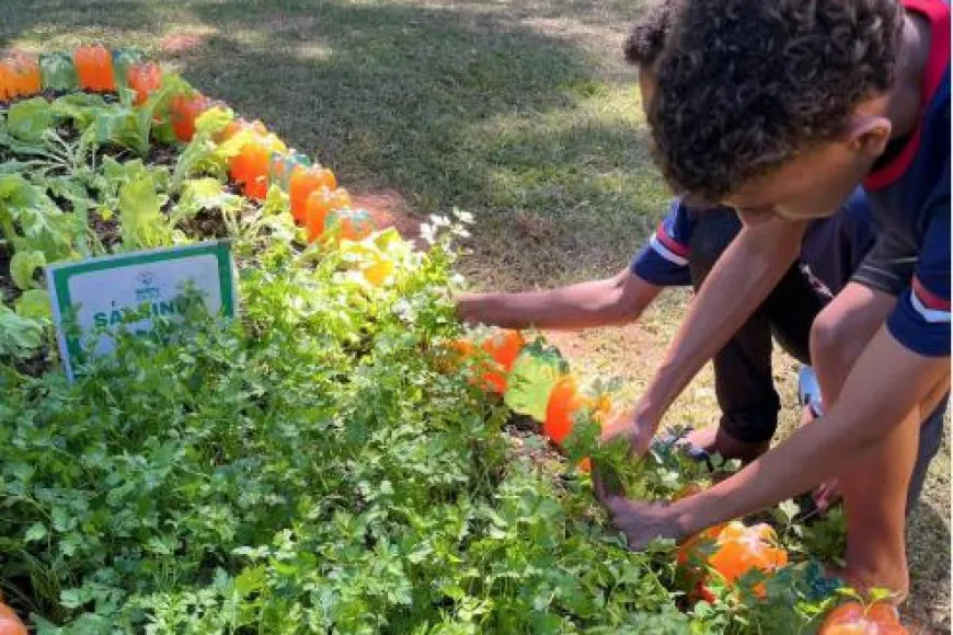 Agro na Escola une educação e prática no campo em Belo Oriente 