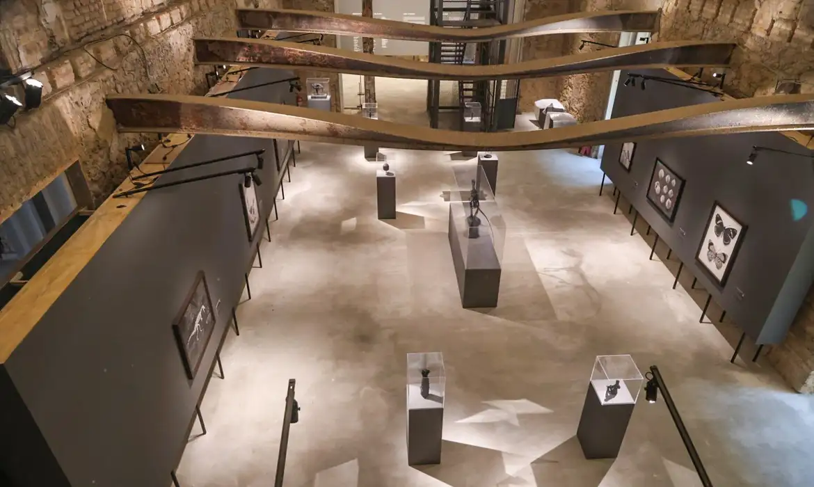 Museu Nacional reabre salas históricas e celebra 208 anos com exposições inéditas