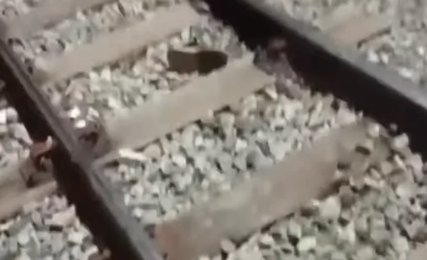 Homem morre após ser atingido por trem ao tentar atravessar por baixo de vagões em Lavras