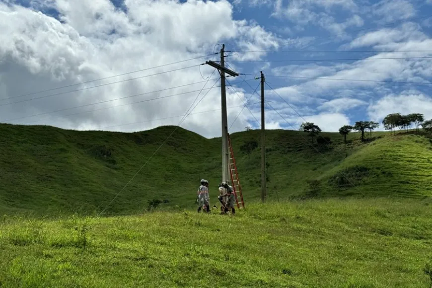 Eletrificação rural recebe investimentos 