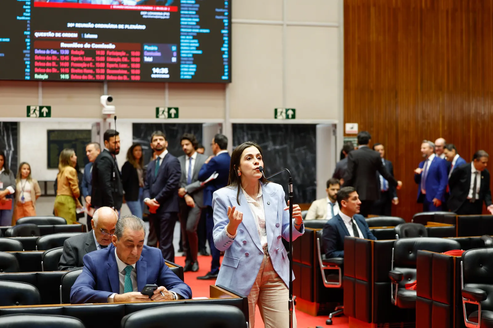Projeto da deputada Lohanna França que cria a Medalha Lô Borges é aprovado pela ALMG